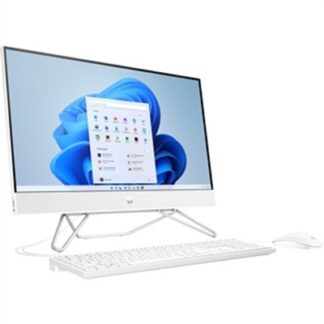 24" Celeron J4025 4GB 256 SSD