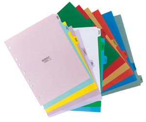 Omnimed Beam Custom Poly Divider Sets 220016