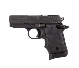 P938 SAS LE - W938-9-SAS2B