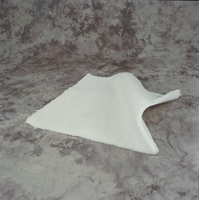 Scott Specialties Decubitus Pads 0034
