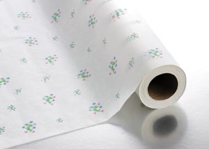 Graham Medical Spa - Quality Massage Table Paper 078