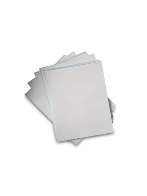 Cytiva Blotting Membranes 10416296