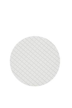 Cytiva Membrane Filtration 10406970