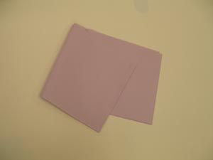 Tidi All Tissue Patient Drape Sheet 918320
