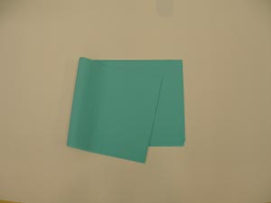 Tidi All Tissue Patient Drape Sheet 918321