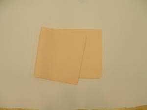 Tidi All Tissue Patient Drape Sheet 918322