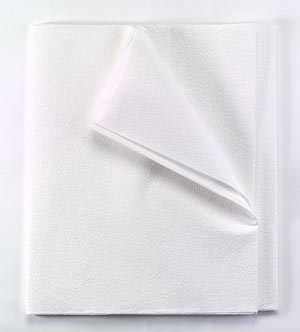 Tidi All Tissue Patient Drape Sheet 980823