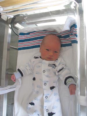 Tidi Posey Limb Holders 4733