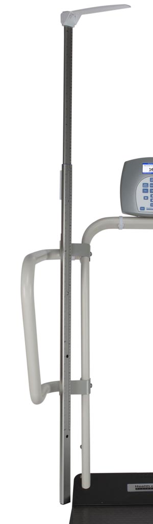 Pelstar/health O Meter Professional Scale - 1100kl Digital Platform Scale 245ehr-1100